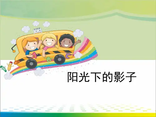 《阳光下的影子》光PPT【完美版课件】