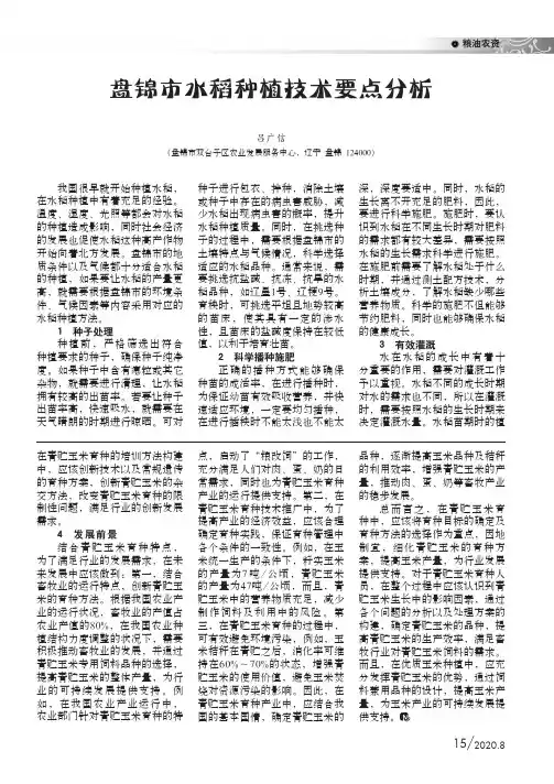 盘锦市水稻种植技术要点分析