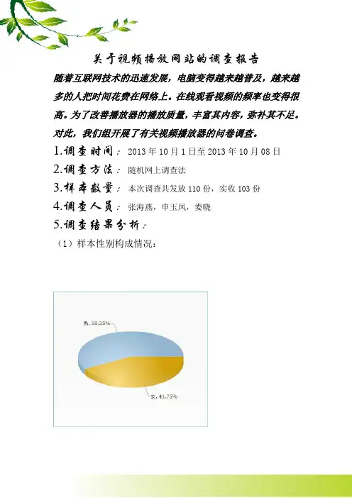 关于视频播放网站的调查报告