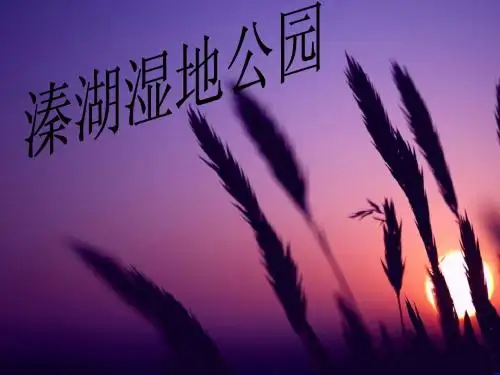 溱湖