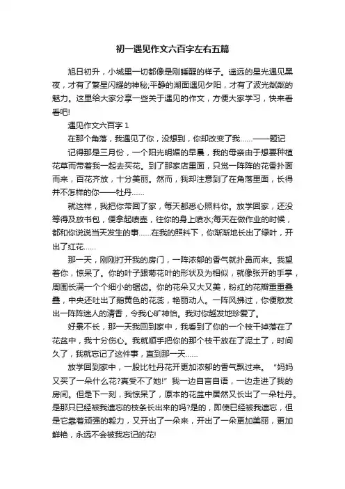初一遇见作文六百字左右五篇