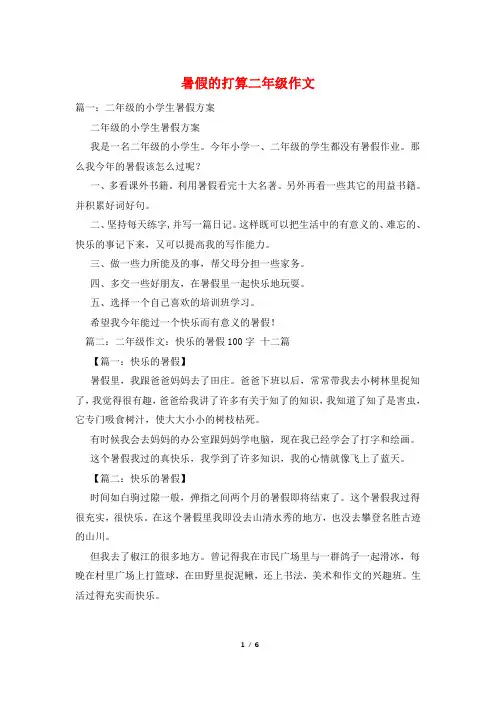 暑假的打算二年级作文