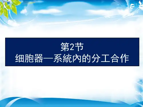 人教生物必修1第3章第2节细胞器──系统内的分工合作(共17张PPT)[优秀课件资料]