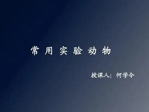 常用实验动物