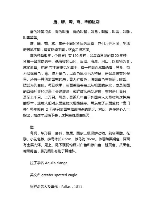 鹰、雕、鹫、鸢、隼的区别