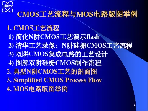 CMOS工艺流程和MOS电路版图举例.ppt