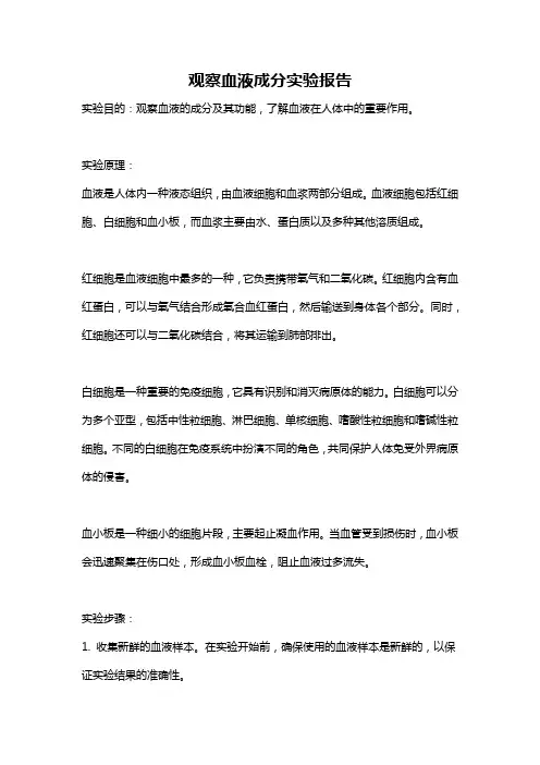 观察血液成分实验报告
