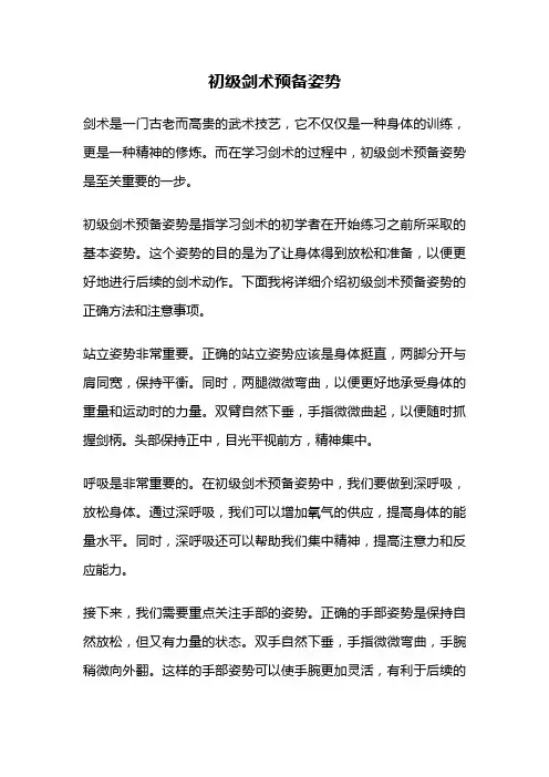 初级剑术预备姿势