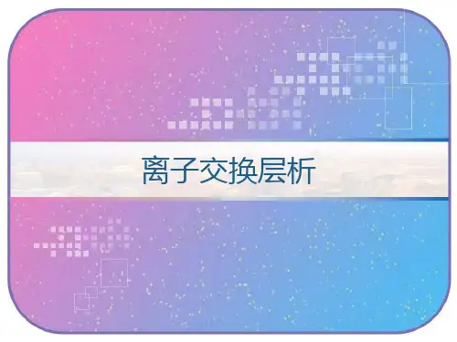 离子交换层析 PPT