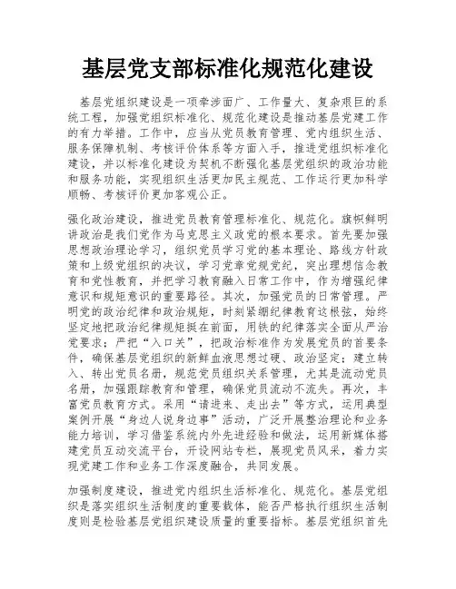基层党支部标准化规范化建设