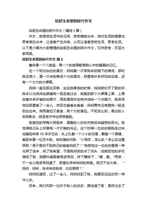 拾起生命里的碎片作文（精选5篇）