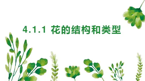 花的结构和类型ppt课件