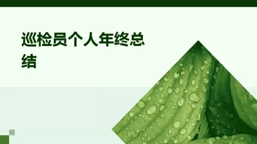 巡检员个人年终总结PPT