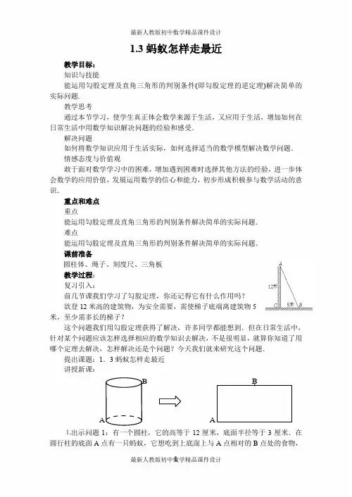 《蚂蚁怎样走最近》教学设计1