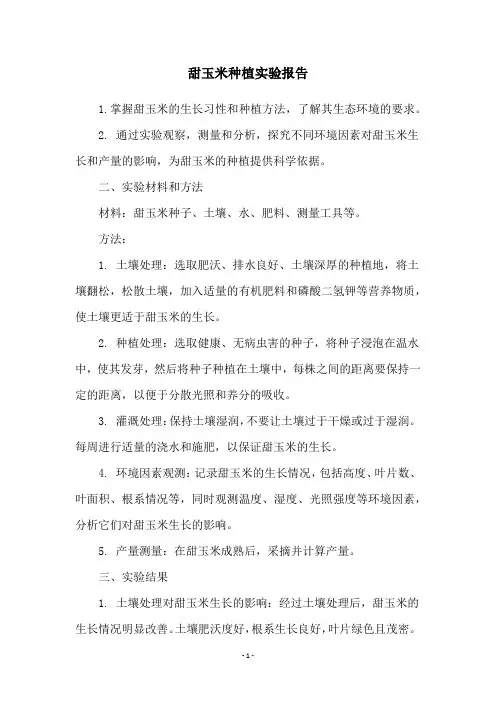 甜玉米种植实验报告