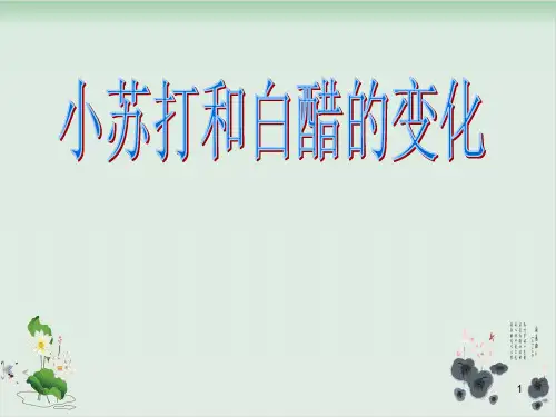 六年级下册科学 课件PPT：小苏打和白醋的变化-教科版