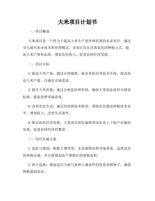 大米项目计划书