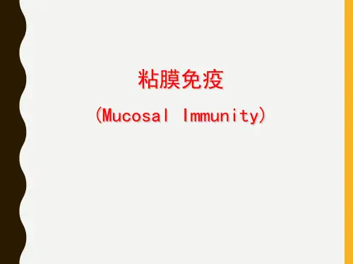 粘膜免疫