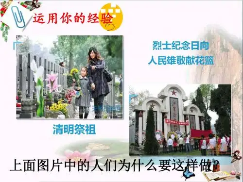 敬畏生命ppt优秀课件15 人教版