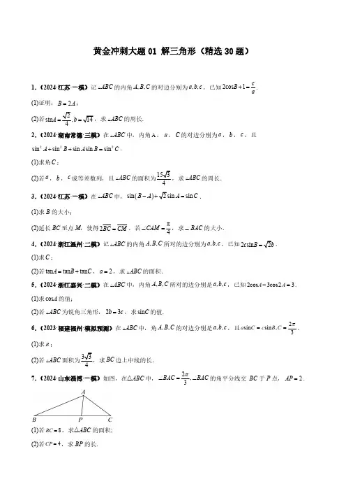 2024数学高考前冲刺题《解三角形》含答案