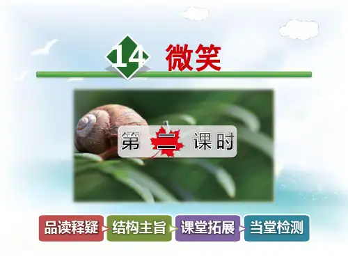 冀教版二年级下册语文14.微笑【第2课时】