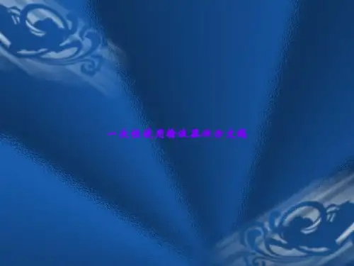 一次性使用输液器演示文稿