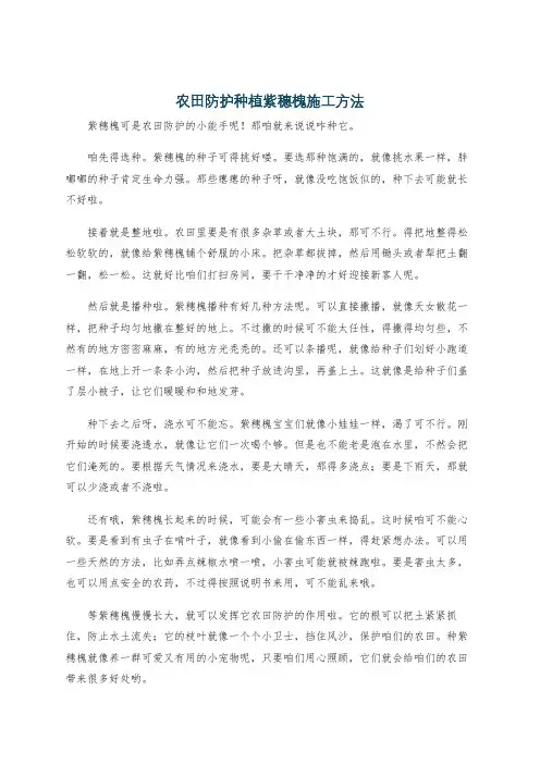 农田防护种植紫穗槐施工方法