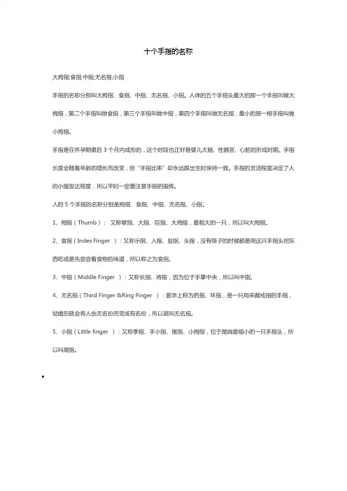 十个手指的名称