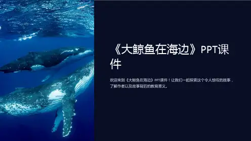 《大鲸鱼在海边》课件
