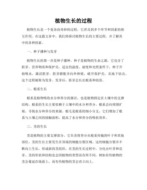 植物生长的过程