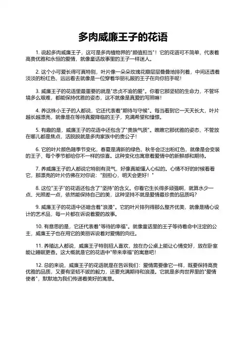 多肉威廉王子的花语