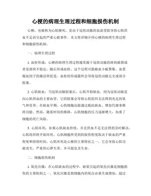 心梗的病理生理过程和细胞损伤机制