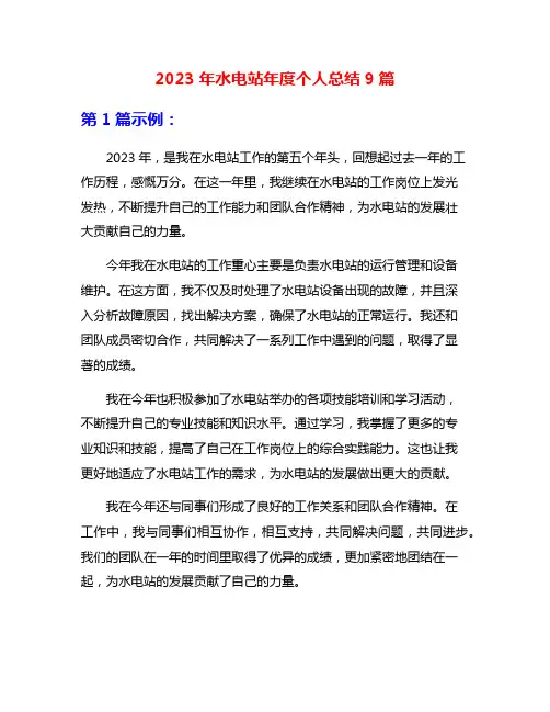 2023年水电站年度个人总结9篇