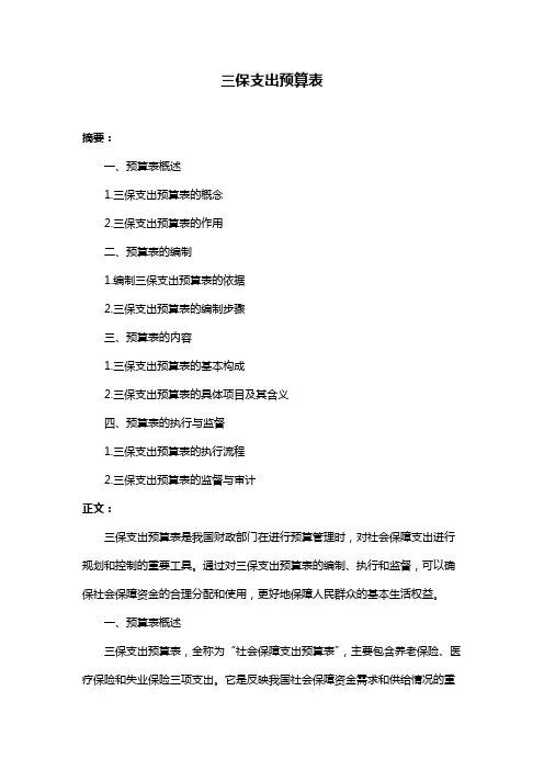 三保支出预算表