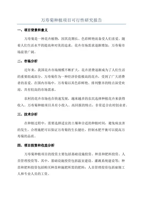 万寿菊种植项目可行性研究报告