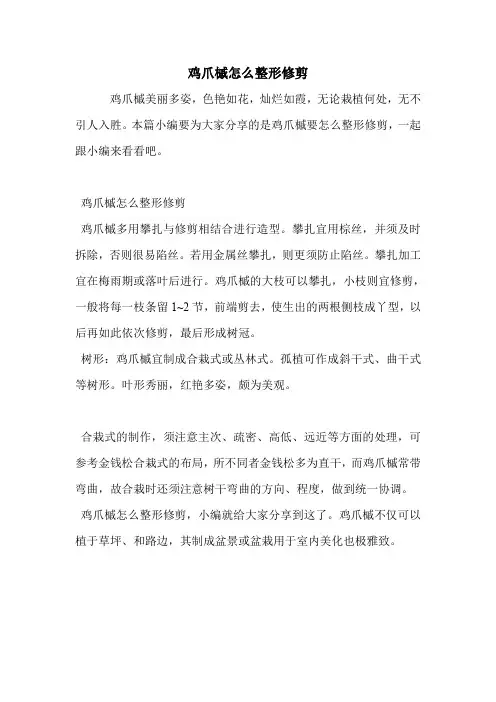 鸡爪槭怎么整形修剪.doc