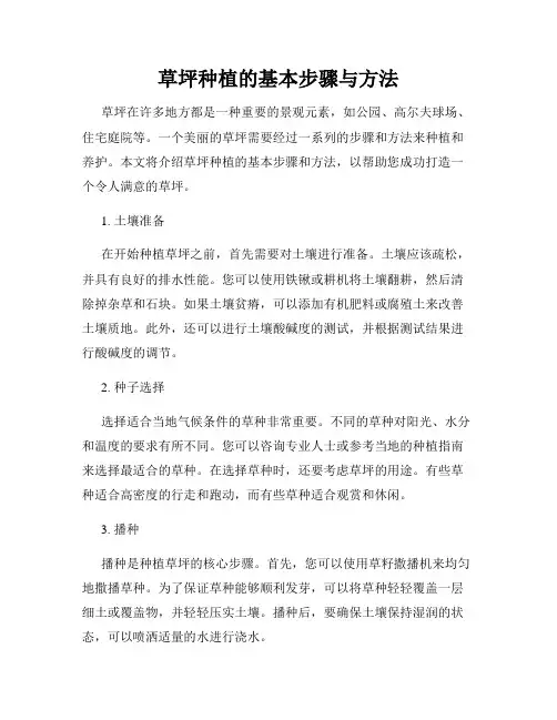 草坪种植的基本步骤与方法