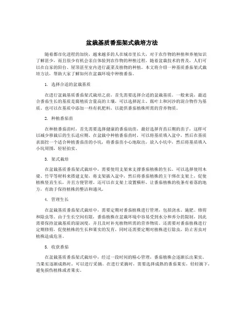 盆栽基质番茄架式栽培方法