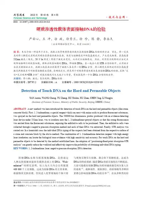硬质渗透性载体表面接触DNA的检验