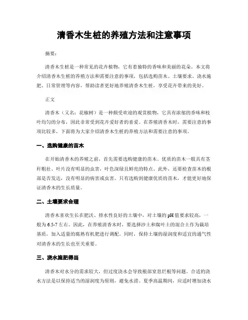 清香木生桩的养殖方法和注意事项
