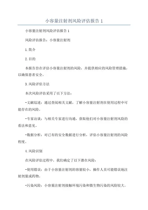 小容量注射剂风险评估报告1