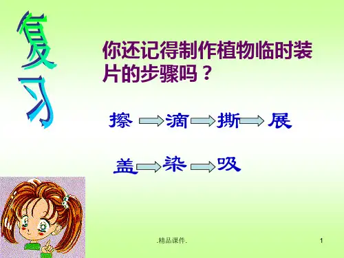 七年级生物观察动物细胞13g最新版.ppt