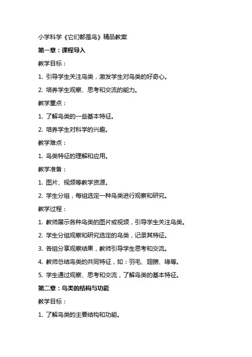 小学科学《它们都是鸟》精品教案