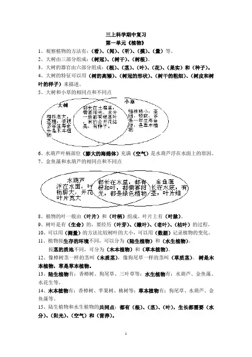三上科学期中复习知识点整理