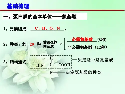 蛋白质的结构和功能高中一轮复习