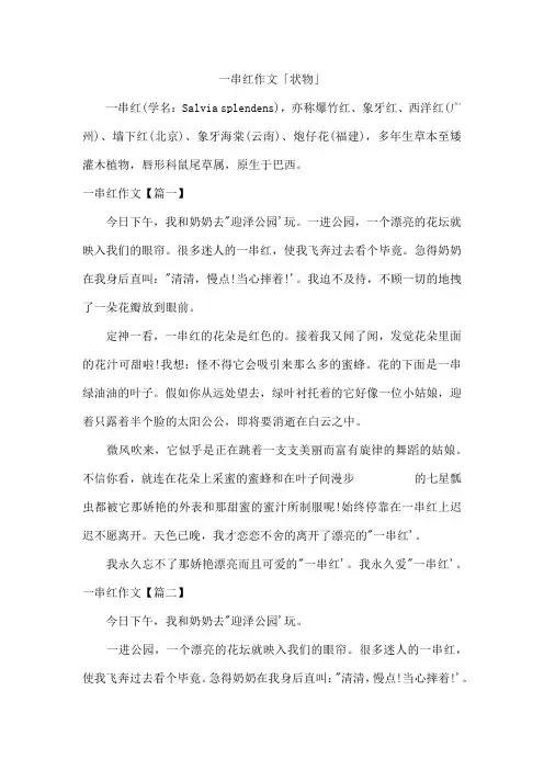 一串红作文「状物」