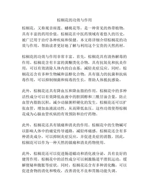 棕榈花的功效与作用