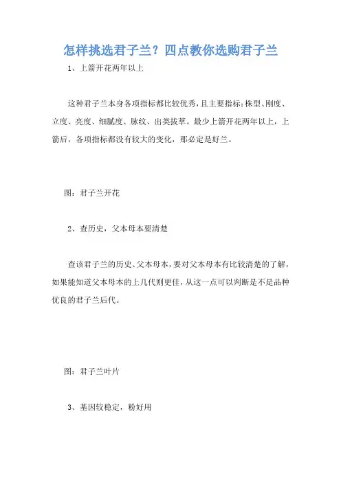 怎样挑选君子兰？四点教你选购君子兰
