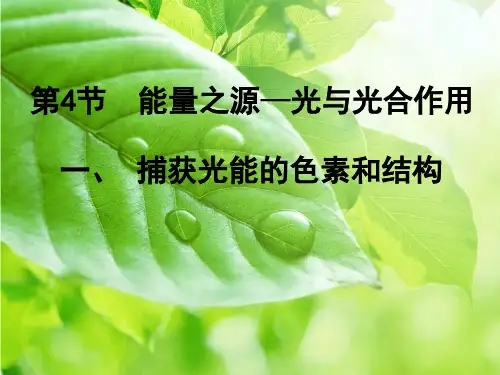 5.4.1光合作用与能量转化《一 捕获光能的色素和结构》 人教版(2019)高中生物必修一