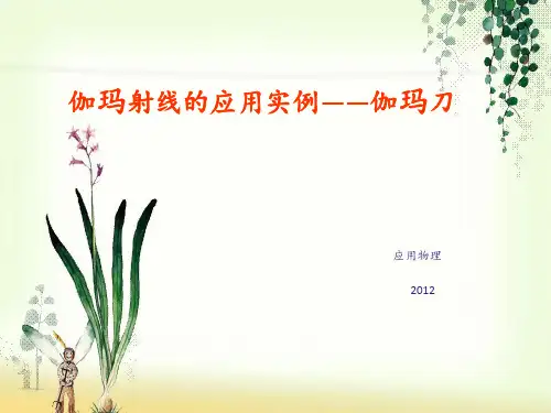 伽马刀